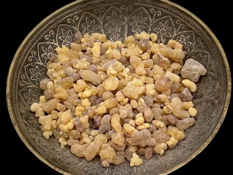 Weihrauch Äthiopien / Boswellia Papyrifera
