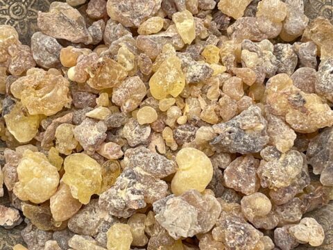 Weihrauch Jemen Boswellia Sacra