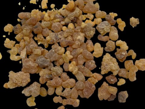 Weihrauch Oman Boswellia Carterii